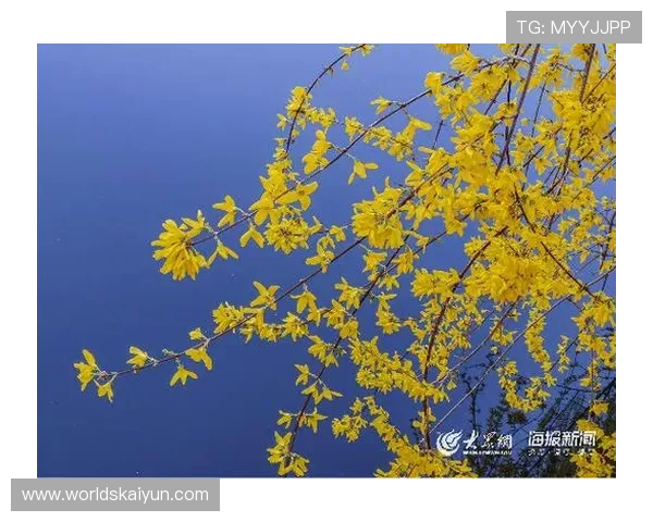 开云平台取款步骤详解及注意事项,帮助用户顺利完成资金提取